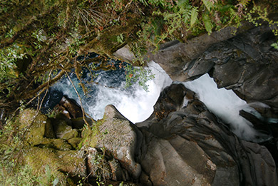 New Zealand Chasm sight